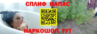 гидра Волжский
