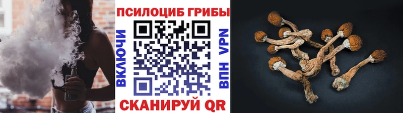 Псилоцибиновые грибы Psilocybe  Ефремов 