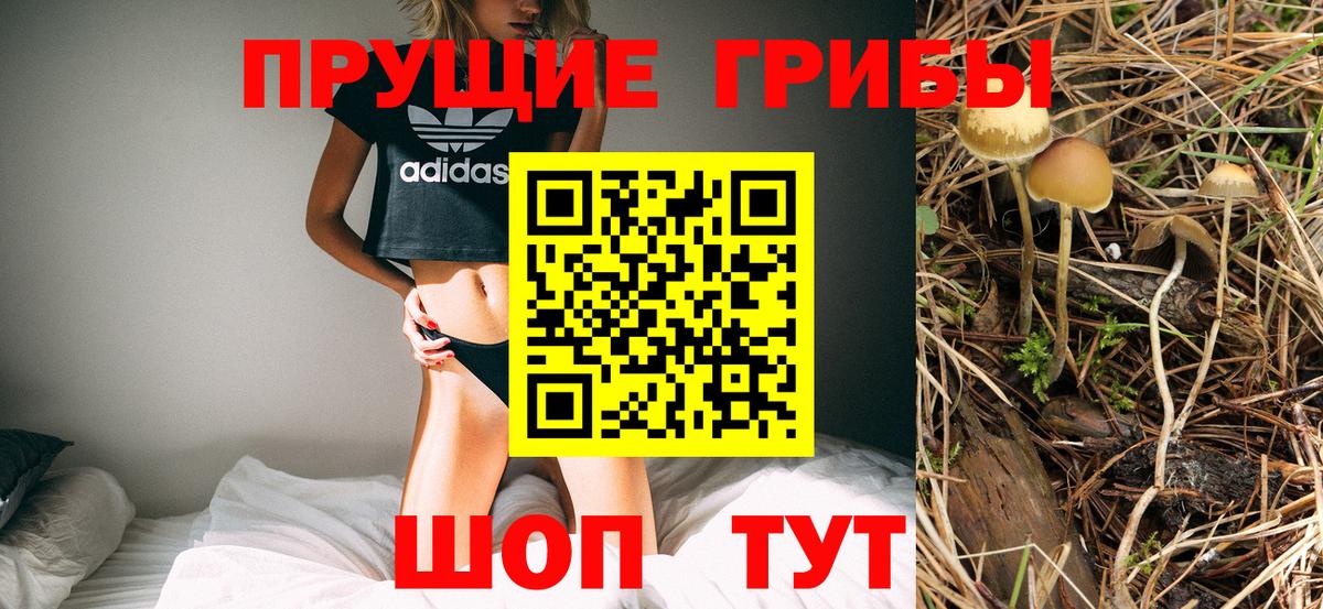 Псилоцибиновые грибы мухоморы  Галлюциногенные грибы Psilocybe  Ефремов 