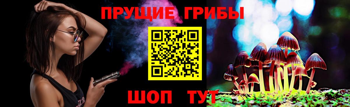 Псилоцибиновые грибы Psilocybe Ефремов